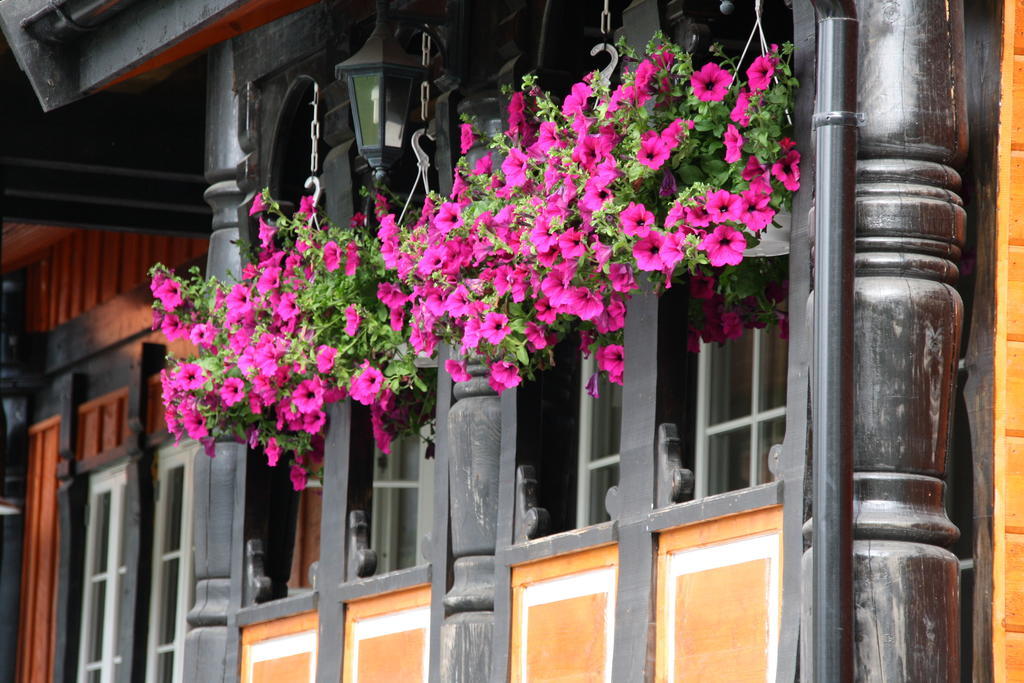 Solvgarden Cottages Rysstad Buitenkant foto
